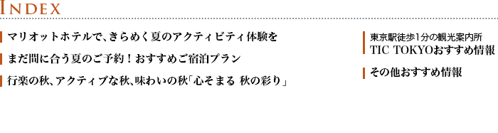INDEX