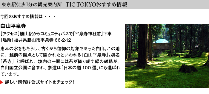 $B!AEl5~1XELJb(B1$BJ,$N4Q8w0FFb=j!A(B TIC TOKYO$B$*$9$9$a>pJs(B
$B:#2s$N$*$9$9$a>pJs$O!D(B
$BGr;3J?@t;{(B
$B!N%