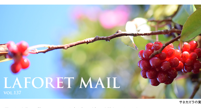 LAFORET MAIL $B%i%U%)!<%l%a!<%k(Bvol.137
