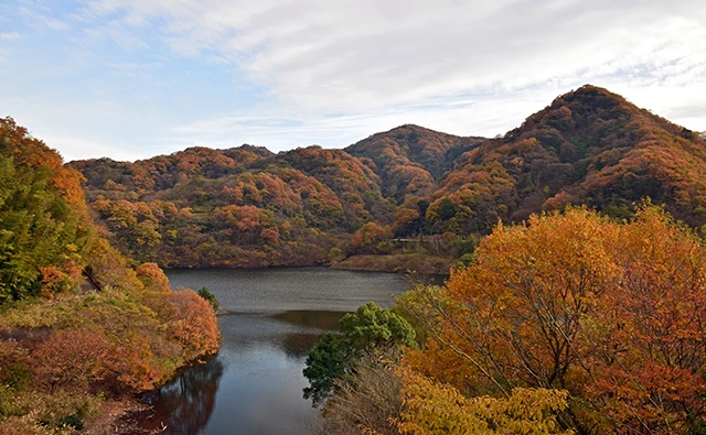 ラフォーレ伊東温泉 湯の庭