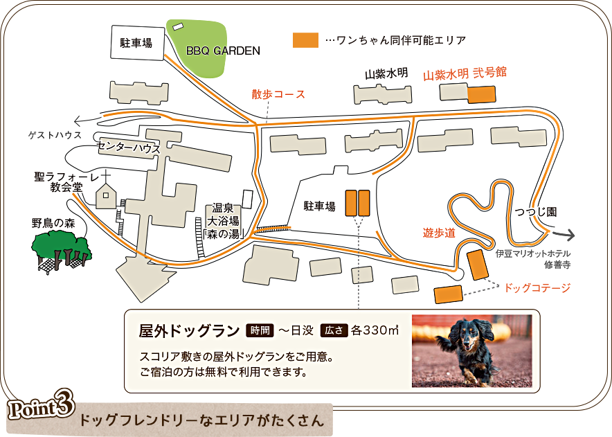 ドッグフレンドリーなエリアがたくさん