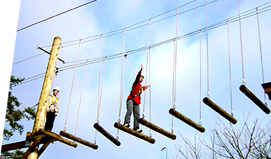 クリエイティブ