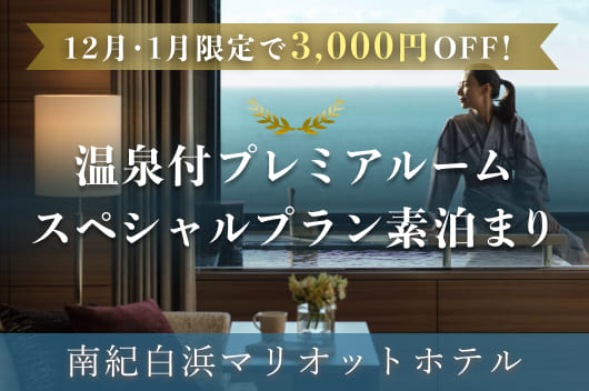 ＜NEW＞期間限定！お一人様3,000円OFF！人気の「温泉ビューバス付プレミアルーム」スペシャルプラン～素泊まり～