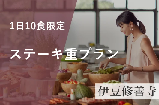 【WEB・1日10食限定】＜夕食は国産牛を使用したステーキ重！＞2食付きプラン（夕・朝食）