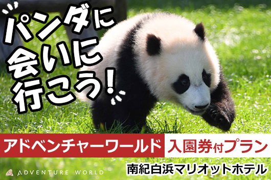 パンダの楓浜 1歳記念　Happy Panda Celebration