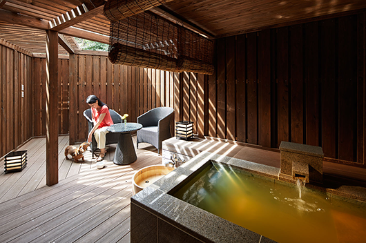 アプリ一周年記念キャンペーン