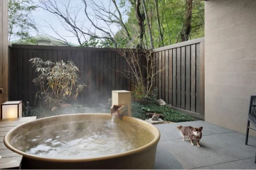愛犬と泊まる