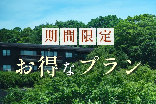 期間限定お得なプラン