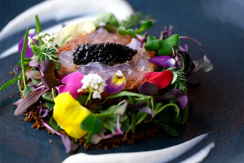 信州サーモンと馬肉のタルタル