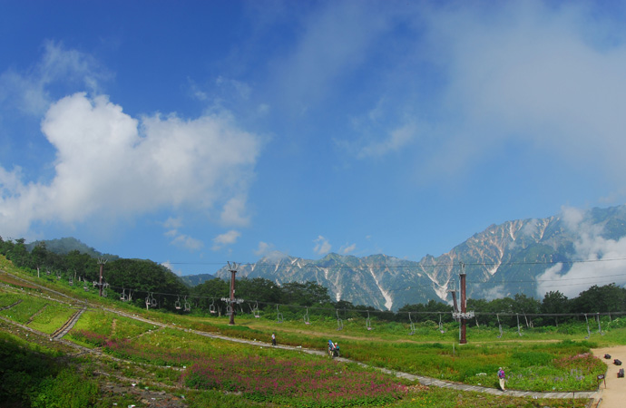 白馬五竜高山植物園