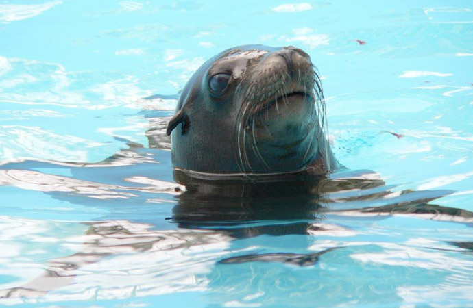 長野市城山動物園