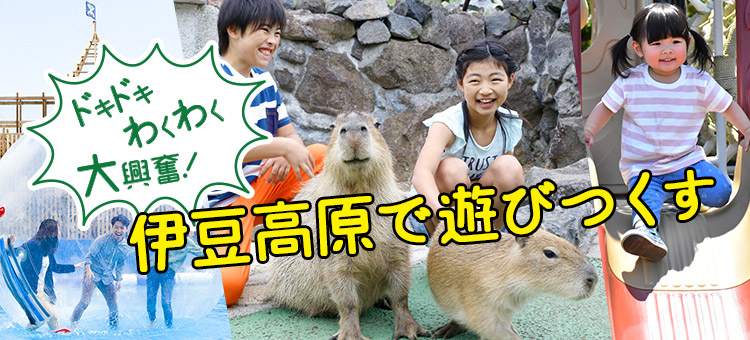 ドキドキわくわく大興奮 伊豆高原で遊びつくす 周辺観光 ラフォーレ倶楽部 伊東温泉 湯の庭 公式 ラフォーレホテルズ リゾーツ