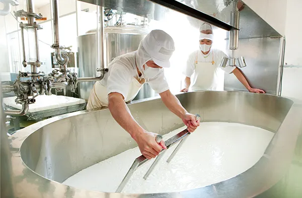 発酵文化を体験する宿泊プラン「発酵リトリート」を販売