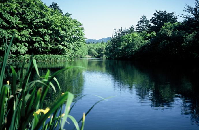 雲場池