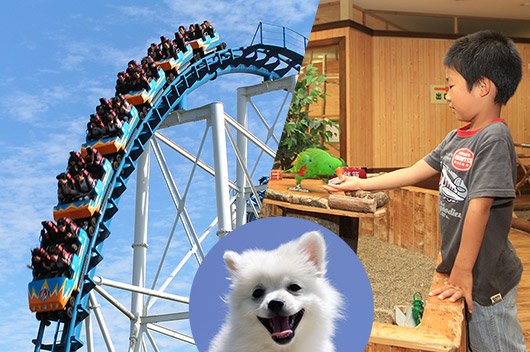 家族みんなで那須を満喫！