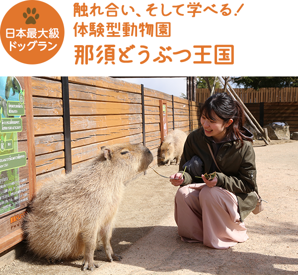 周辺観光 リゾートホテル ラフォーレ那須 公式 ラフォーレ倶楽部 周辺観光 リゾートホテル ラフォーレ那須 公式 ラフォーレ倶楽部