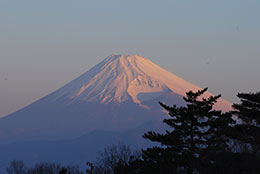 周辺観光イメージ