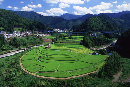 蘭島（あらぎじま）