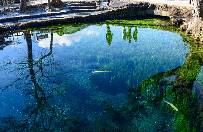 忍野八海