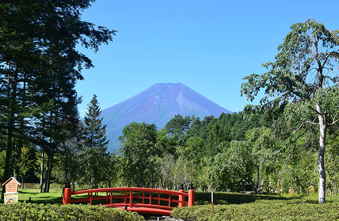 忍野 しのびの里