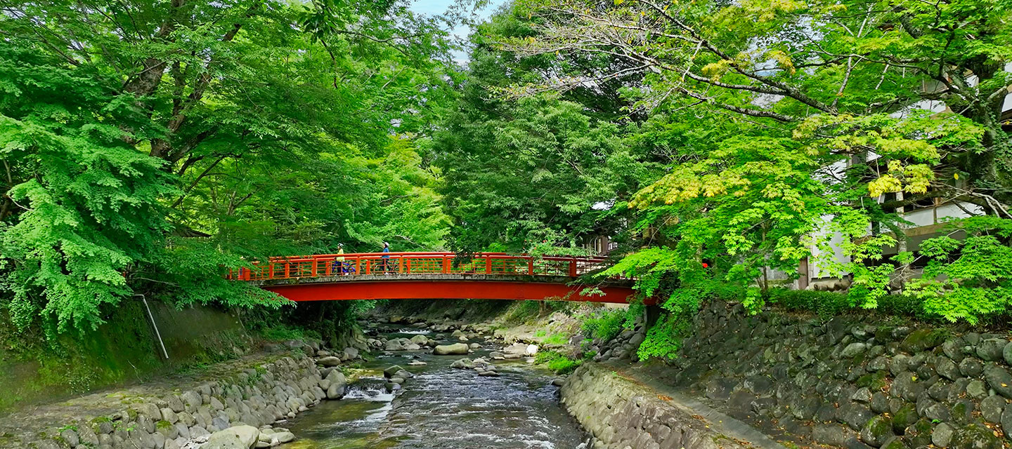 竹林の小径