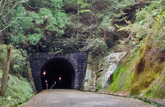 天城路ハイキングコース