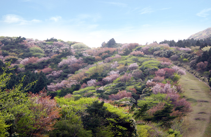 金冠山