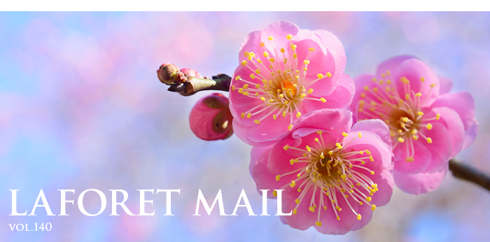LAFORET MAIL $B%i%U%)!<%l%a!<%k(Bvol.140