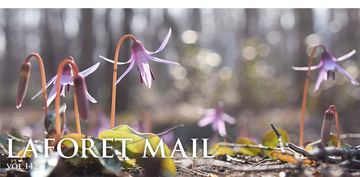 LAFORET MAIL $B%i%U%)!<%l%a!<%k(Bvol.142