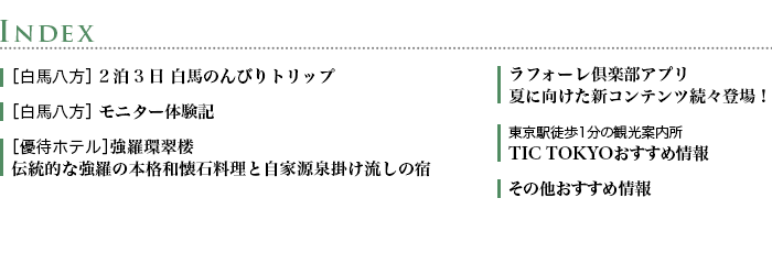 INDEX