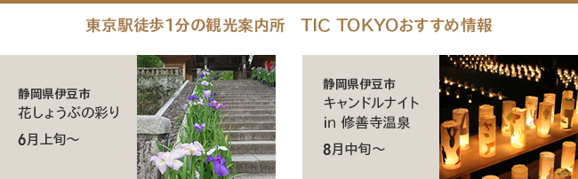 $B!AEl5~1XELJb(B1$BJ,$N4Q8w0FFb=j!A(B TIC TOKYO$B$*$9$9$a>pJs(B