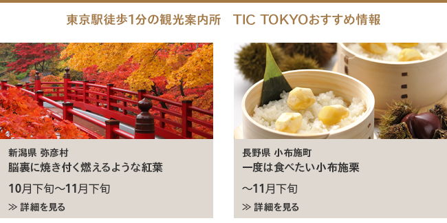 $B!AEl5~1XELJb(B1$BJ,$N4Q8w0FFb=j!A(B TIC TOKYO$B$*$9$9$a>pJs(B