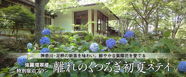 強羅環翠楼 特別宿泊プラン「離れのくつろぎ初夏ステイ」