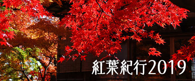 特集「紅葉紀行」