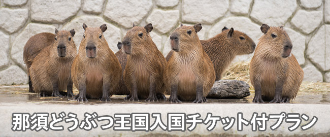 那須「那須どうぶつ王国入国チケット付プラン」