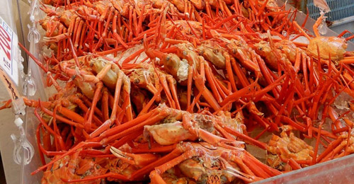 寺泊魚の市場通り