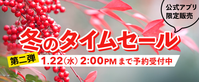 1/(木)11:00～ ラフォーレ倶楽部アプリ 冬のタイムセール 第二弾