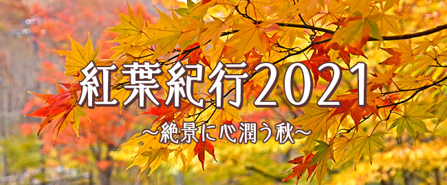 紅葉特集～絶景に心潤う秋～