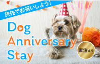 Dog-Anniversary-Stay