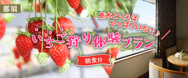 那須「栃木といえばやっぱりいちご♪いちご狩り体験付プラン(朝食付)」