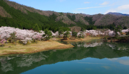 情に棹させば流される智に働けば角が立つ