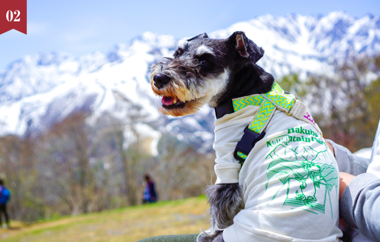 【軽井沢】＜7/8泊限定＞NAGANO WINE Discovery ～Summer Garden Party～(2食付)