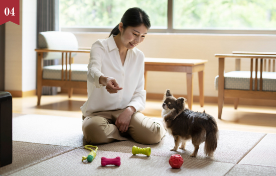 【富士山中湖】愛犬と過ごすお部屋食付きプラン(2食付)