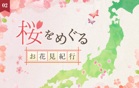 春のお出かけにおすすめ「桜を巡る、お花見紀行」