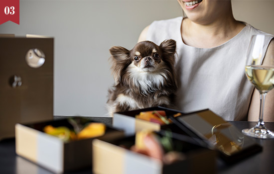 伊豆マリオットホテル修善寺 お部屋代20％OFF！夕・朝ともにお部屋食！愛犬と楽しむひとり旅「ONE×わん Trip！」(2食付)