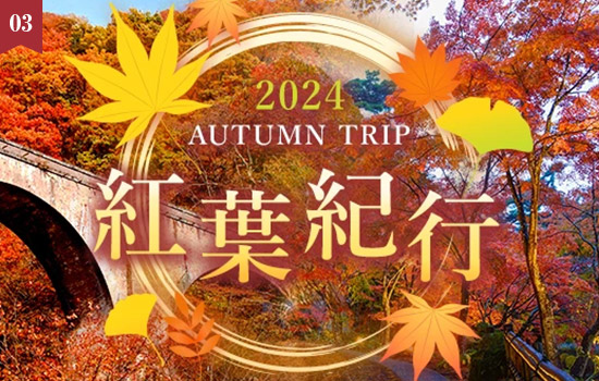 「紅葉紀行2024」