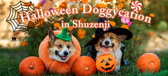 ラフォーレリゾート修善寺　愛犬のハロウィン衣装作りや、プロイラストレーターによる愛犬の似顔絵も！「Halloween Doggycation in Shuzenji」