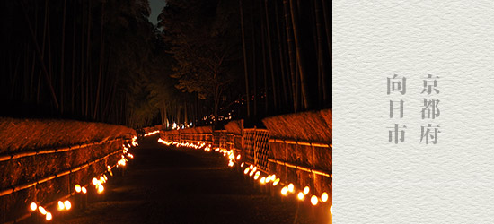 秋の夜、幻想的な竹林の散策路へ「竹の径・かぐやの夕べ」　京都府 向日市