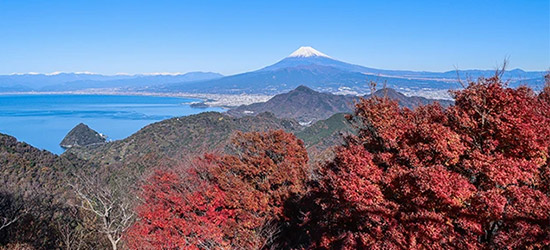 秋の絶景を巡る！1泊2日のツアーを開催 富士山×紅葉を楽しむコースや、太平洋の夕日に癒されるコースも