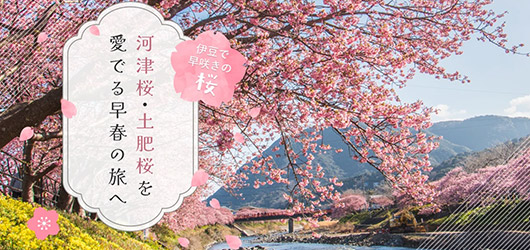 春の訪れをいち早く見つけに出かけよう「伊豆の桜まつり特集」桜まつりの期間中、ホテルラフォーレ修善寺は愛犬宿泊代無料！